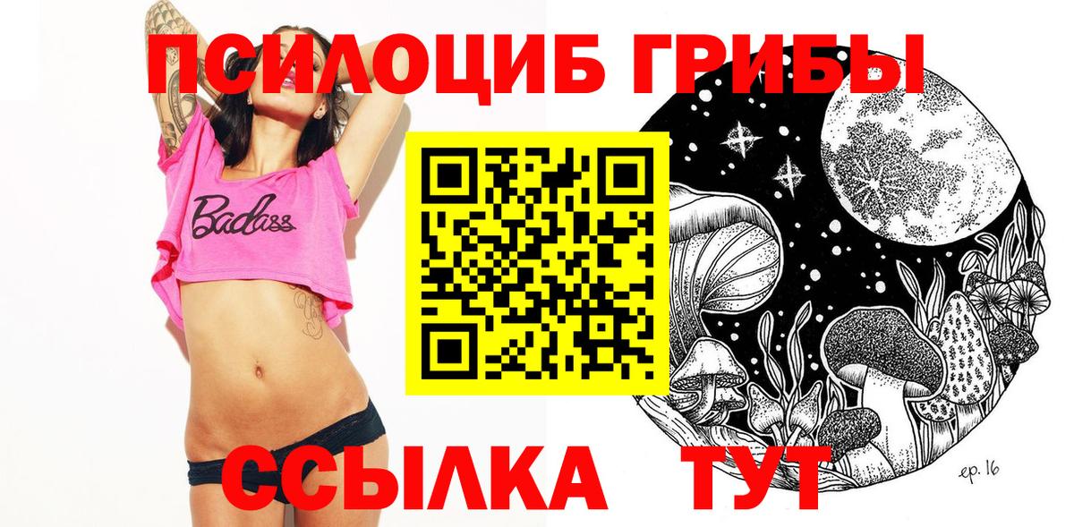 Галлюциногенные грибы Psilocybe  Вход с VPN  Зерноград  Псилоцибиновые грибы прущие грибы 