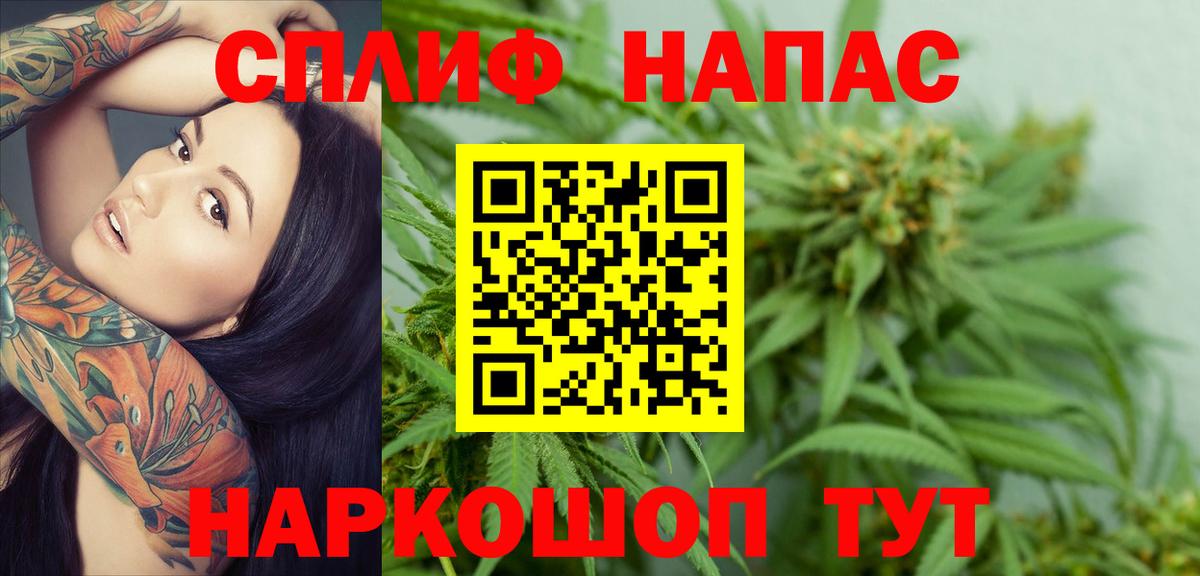 Бошки Шишки семена Зерноград